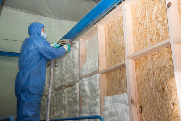 Best Insulation Removal  in Cowpens, SC